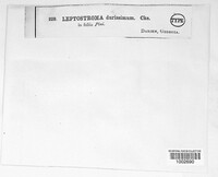 Image Associated With the Occurence